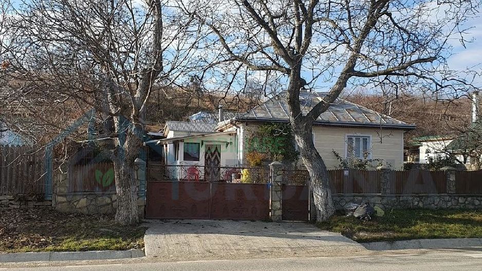 Casă cu teren în Deleni, Iași - Stradă principală - Poză 2