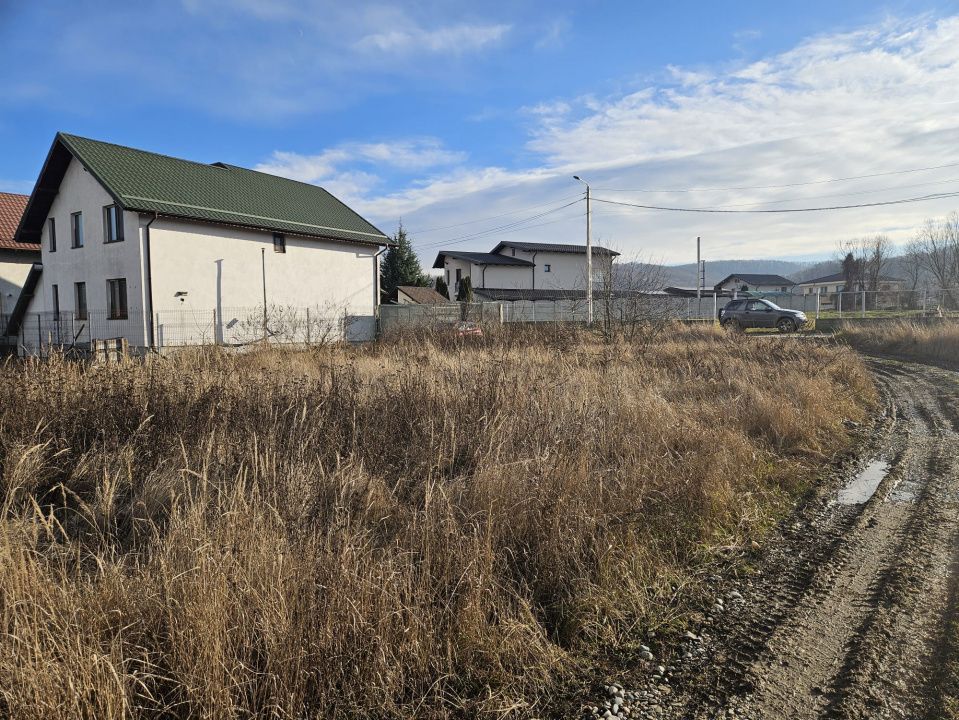 Teren 1.250 mp, toate utilitatile – Bascov, Valea Ursului, AG - Poză 6