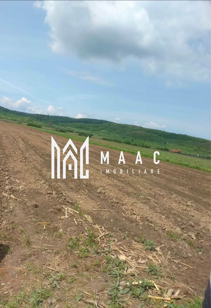 Teren | Extravilan | Oportunitate Investiție | 10 000 MP | Bradu - Poză 2