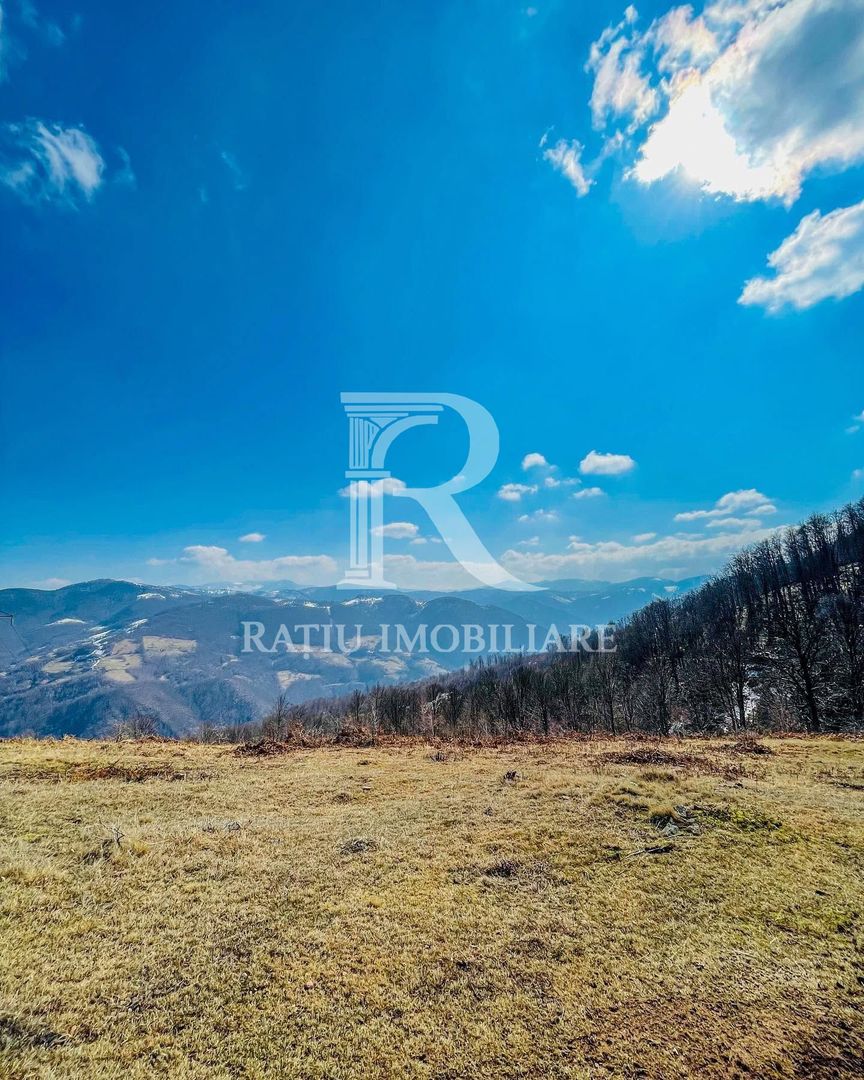 PENSIUNE DE ÎNCHIRIAT | REMEȚI | BIHOR | CIUBĂR & SAUNĂ - Poză 9