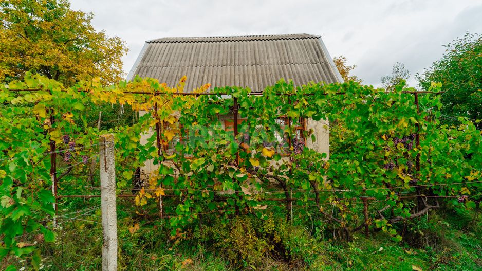 Lot pomicol de 6 ari în Ialoveni, cu construcție auxiliară. - Poză 12
