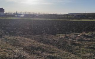 TEREN INTRAVILAN | LOCALITATEA LIVADA, COMUNA ICLOD, JUD. CLUJ - Poză 5