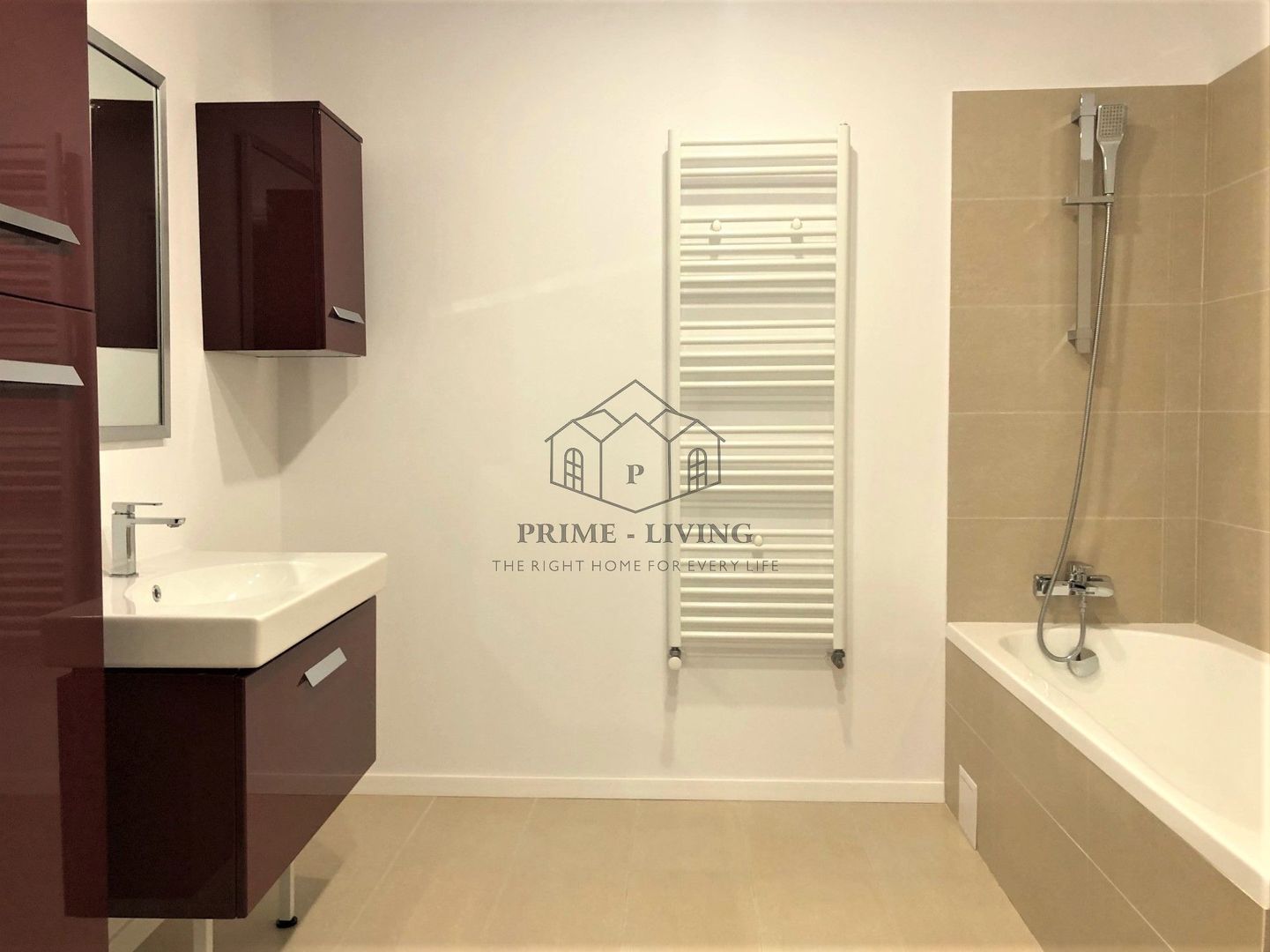 VILA CU 5 CAMERE IN ZONA IANCU NICOLAE - Poză 13