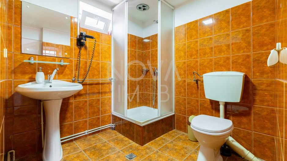 Casa + Pensiune deosebita - Orlat, Sibiu - Poză 42