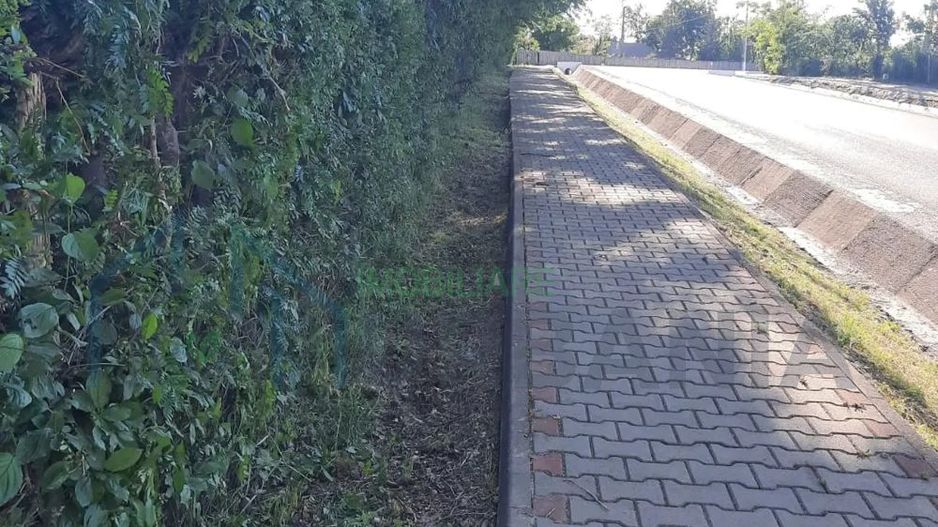 # intravilan în Țigănași la strada principală - Poză 4