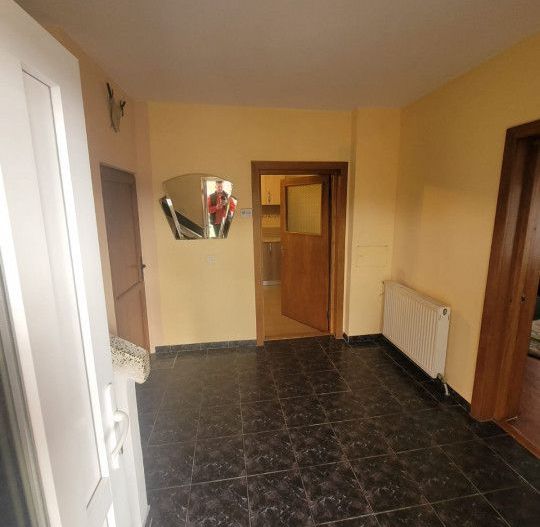 Inchiriere Vila Pitesti, Prundu Mic - Poză 16