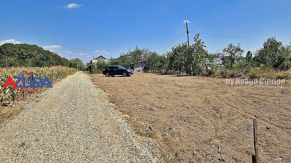 AZURA Imobiliare - Teren Mosoaia Dealul Viilor langa Padure - Poză 18