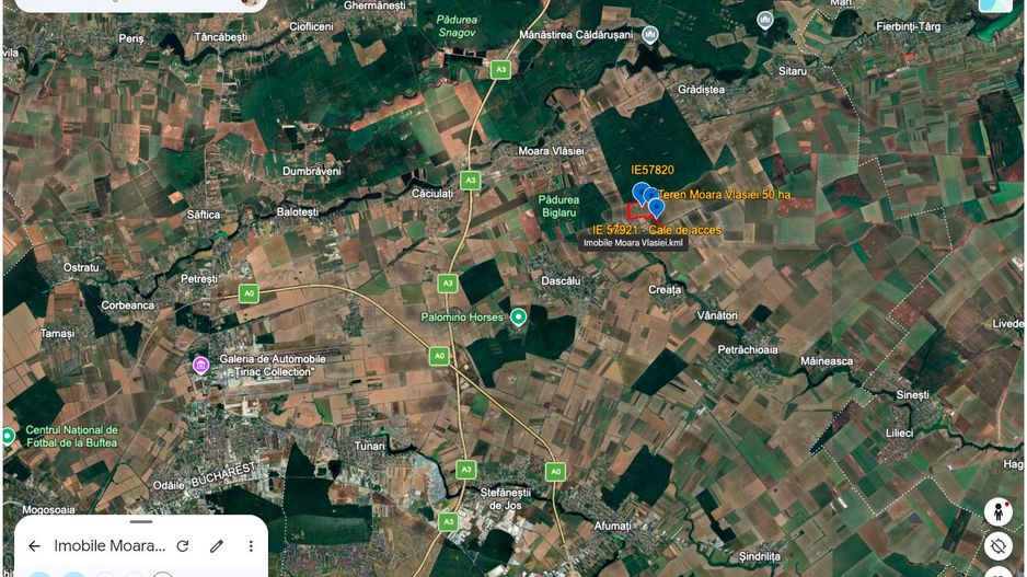 Teren intravilan 50,5 ha – Moara Vlăsiei - Poză 6