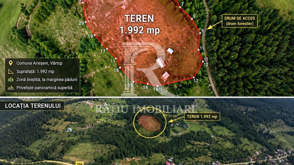 Teren 2000 m | Izlaz | Arieseni - Poză 2