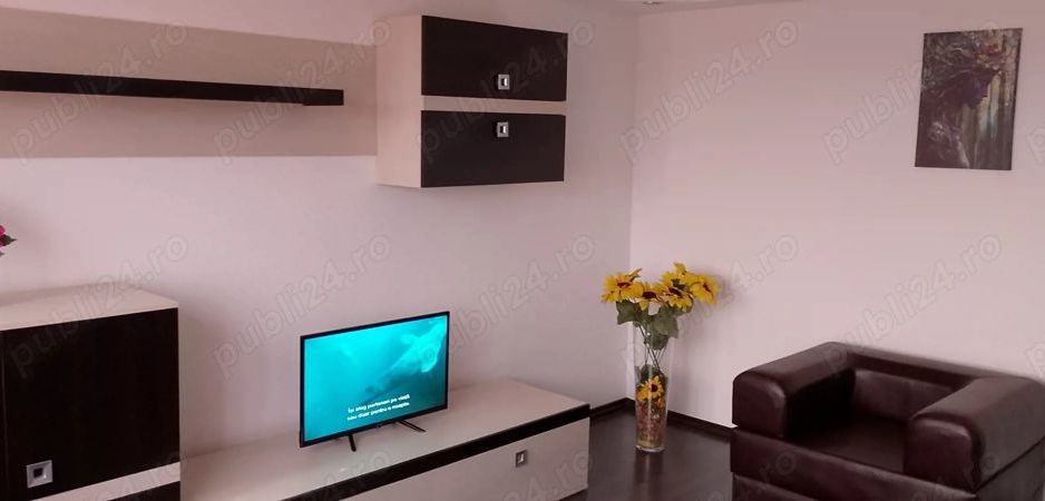 Închiriere apartament două camere Bvd. Dimitrie Cantemir, Sector 4, București - Poză 4