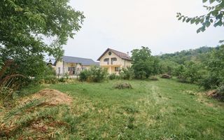 Teren 2240 mp intravilan + casa batraneasca Hintesti-Basangesti - Poză 5
