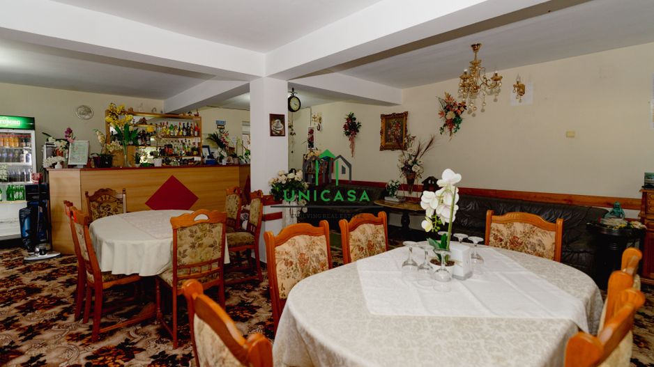 PENSIUNEA EVRICA - COSTESTI - HOREZU - VALCEA - Poză 24