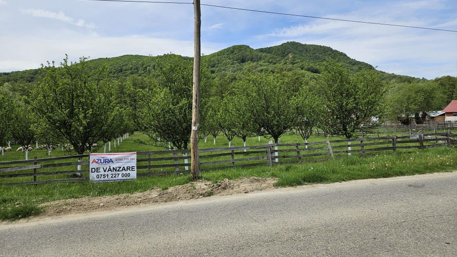 Vanzare teren zona munte, Corbi - Poză 5