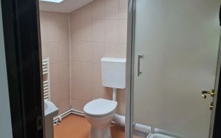 Camere de închiriat în casă, Tătărași, Iași - Poză 7