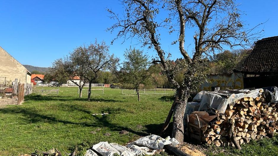 Teren intravilan Sinca Noua - Poză 1