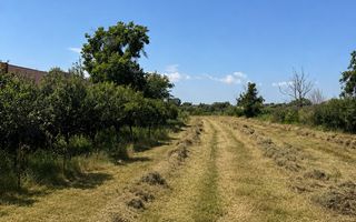 Teren intravilan 4.000 mp Comana (Budeni) | 10 €/mp negociabil | Comis - Poză 2