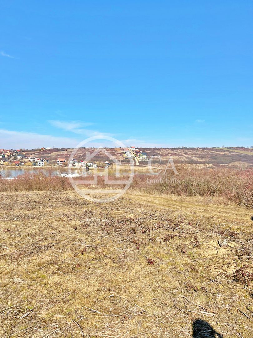 Teren 10.071 mp de vanzare in Paleu, Bihor - Poză 1