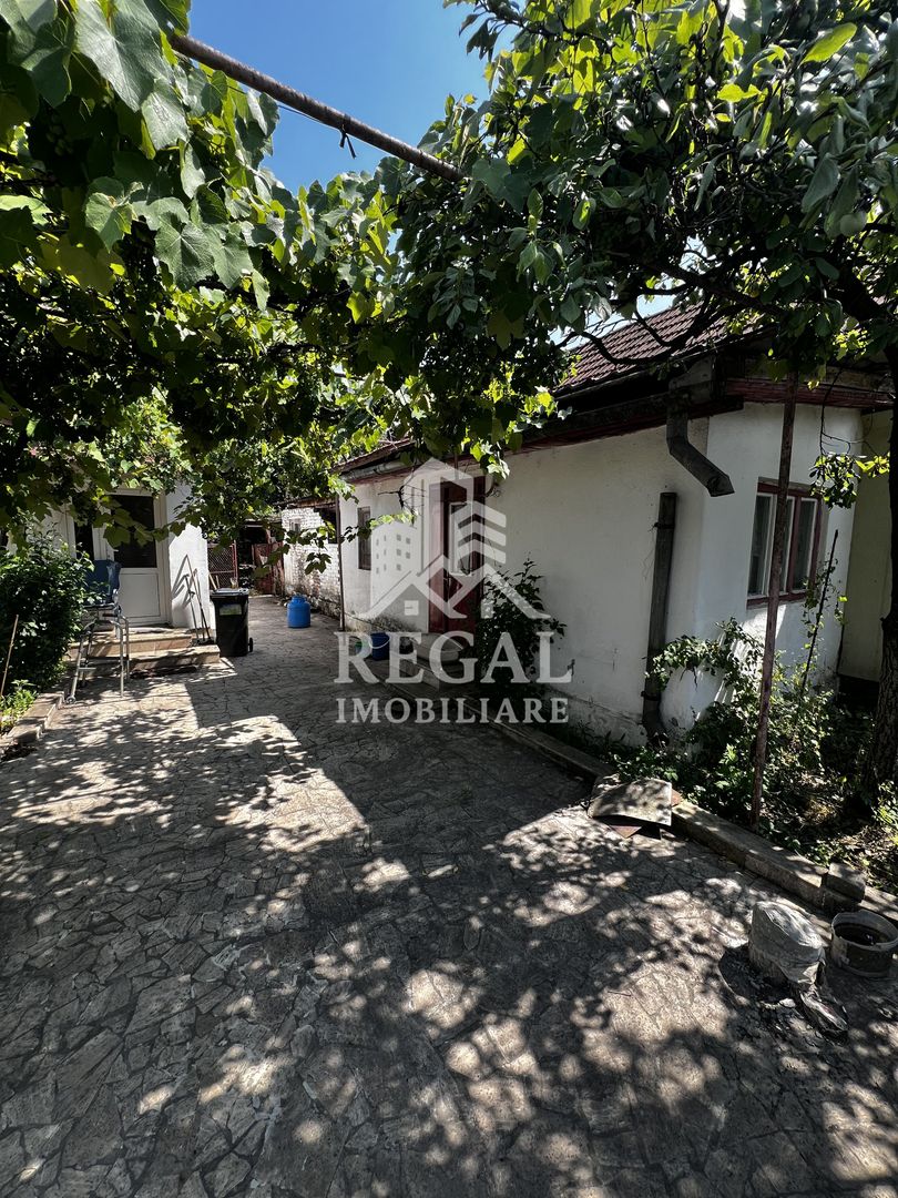 Casă de vânzare în Peștișu Mare – garaj și toate utilitățile - Poză 2