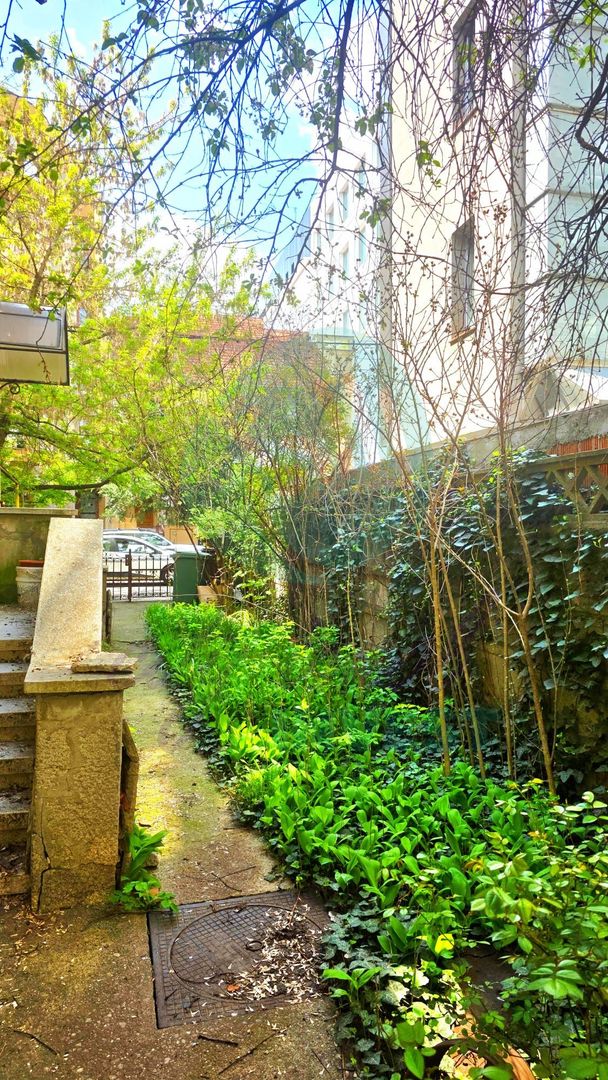 Parter vilă + demisol | Aviatorilor – Herăstrău | Grădină - Poză 8