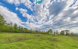 Casă cu teren de 17.681 mp, în loc. Hălmăgel, Arad - Poză 19