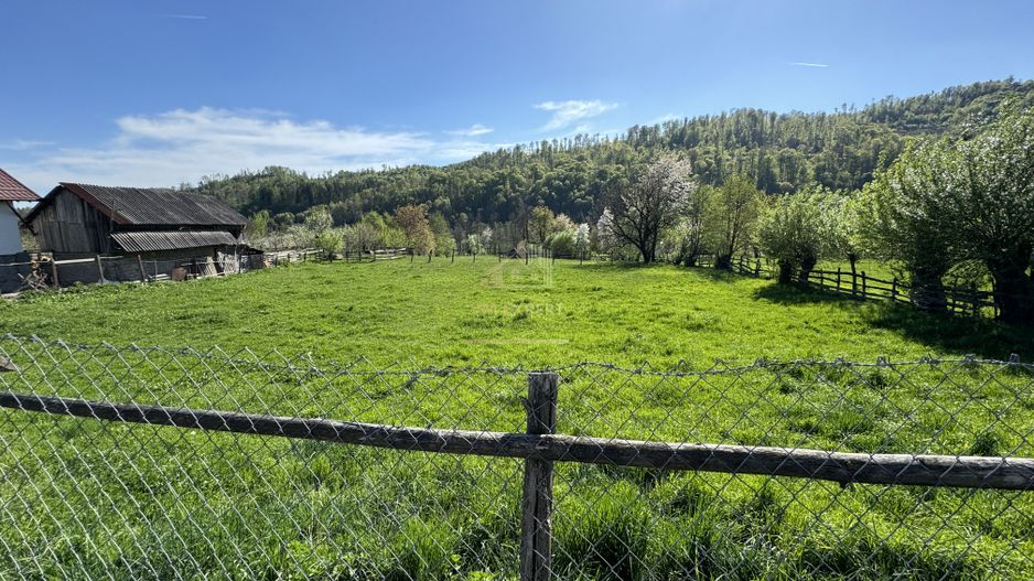 TEREN INTRAVILAN 2592 MP,  ALBESTI DE MUSCEL, ARGES - Poză 3