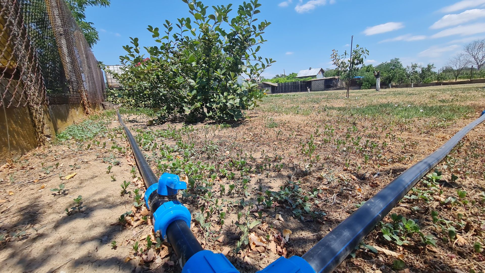 Vila impozanta in zona linistita la 15 minute de capitala! - Poză 11