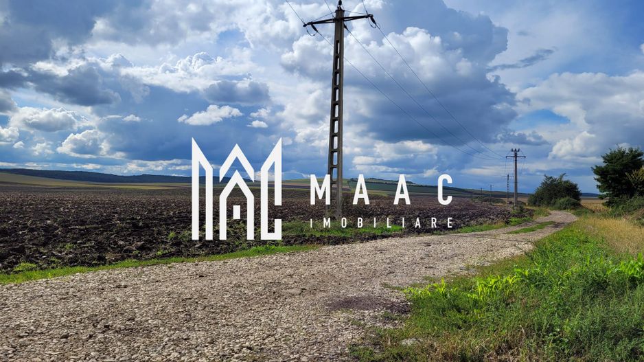 Teren 17300 MP | Deschidere la 2 Strazi | Ocna Sibiului - Poză 3