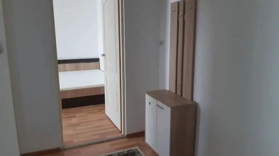 Apartament 1 camera zona Buziasului - Poză 7