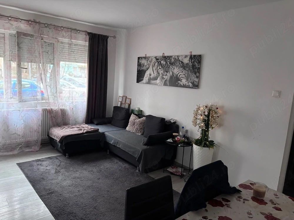 BRASADAS vinde ap 2 cam PARTER Micro 15 40mp. - Poză 1