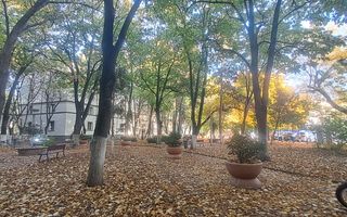 2 Camere Decomandat | Centrala | 2 minute Metrou Brancoveanu | Boxa - Poză 1