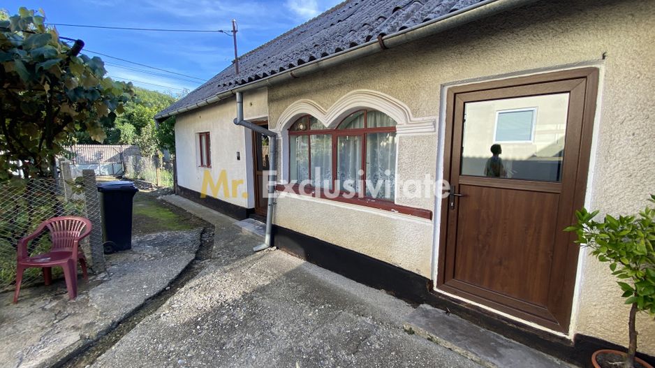 CASA + TEREN 1.002 MP | Stefanesti – Valea Mare Enculescu-Arges - Poză 2