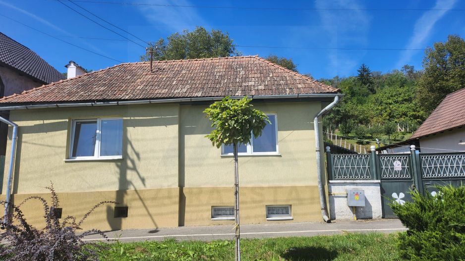 Casa individuala 3 camere renovata recent teren 803 mp in Agnita - Poză 1