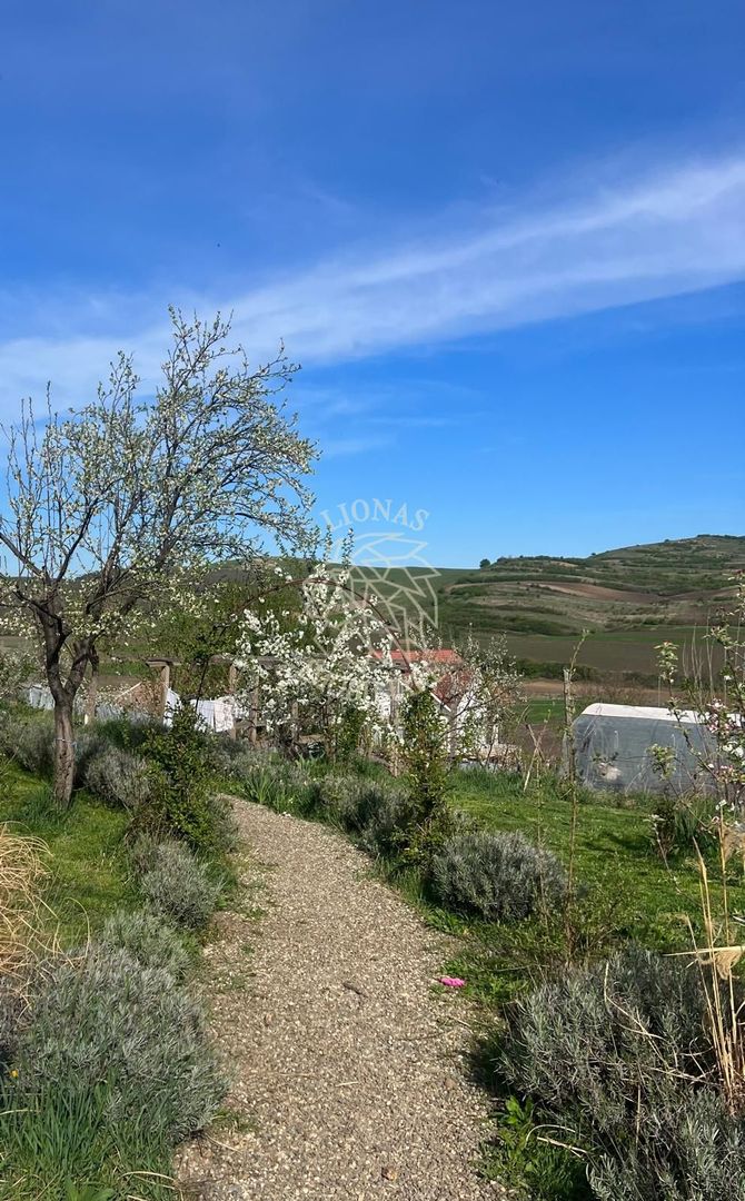 Casă ecologică 113 mp utili cu utilitati  + Teren 3100 mp, Balda, județul Mures - Poză 16