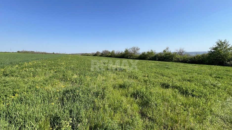 Teren agricol de 40 ari în Ghidighici – oportunitate pentru investiție sau activitate agricolă - Poză 3