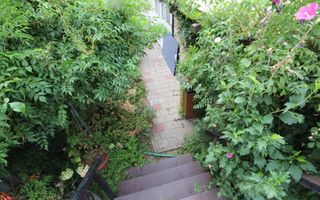 Ideala pentru diferite activitati - Poză 23