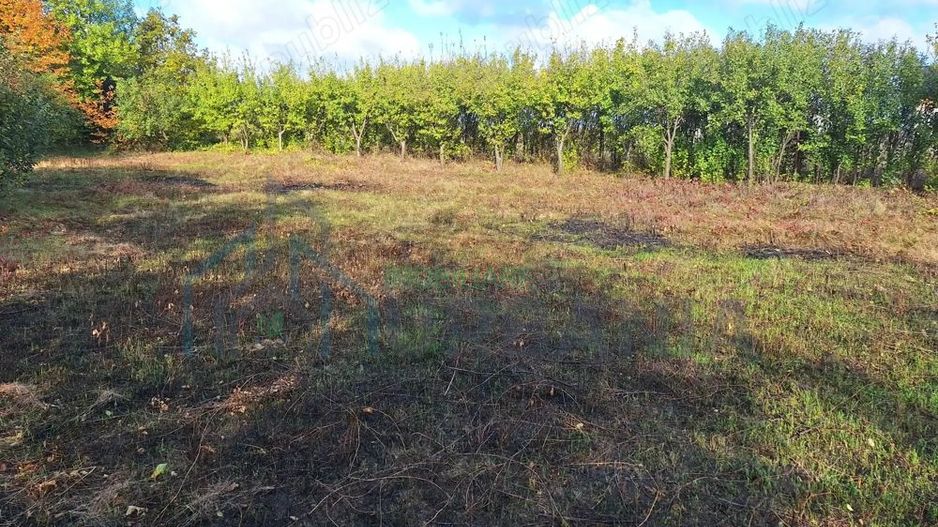 Vând Teren Horlesti-Rediu - Poză 10