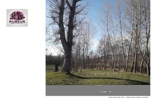 Oportunitate rară! 1 ha pădure Corcova – teren cu potențial real