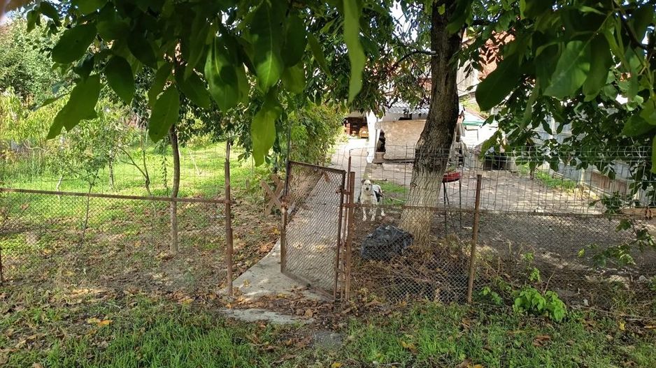 BRASADAS vinde casă 4 cam zona UNIO pentru două familii. - Poză 5