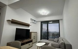 Apartament 2 camere Novum Timisoara 56 - Poză 1