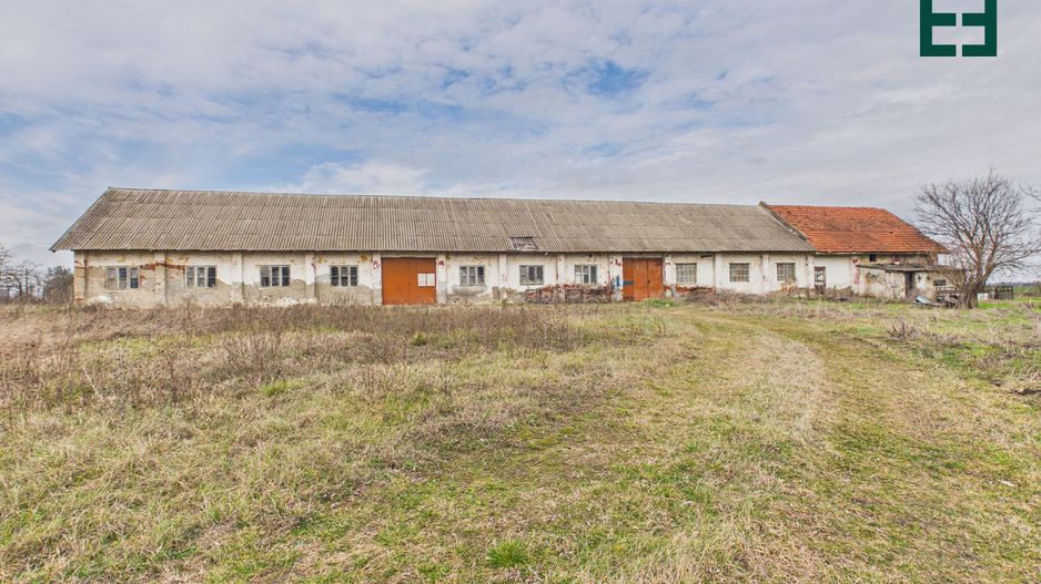 Proprietate industrială + Teren 8.632 - Voiteg - Județul Timiș - Poză 3