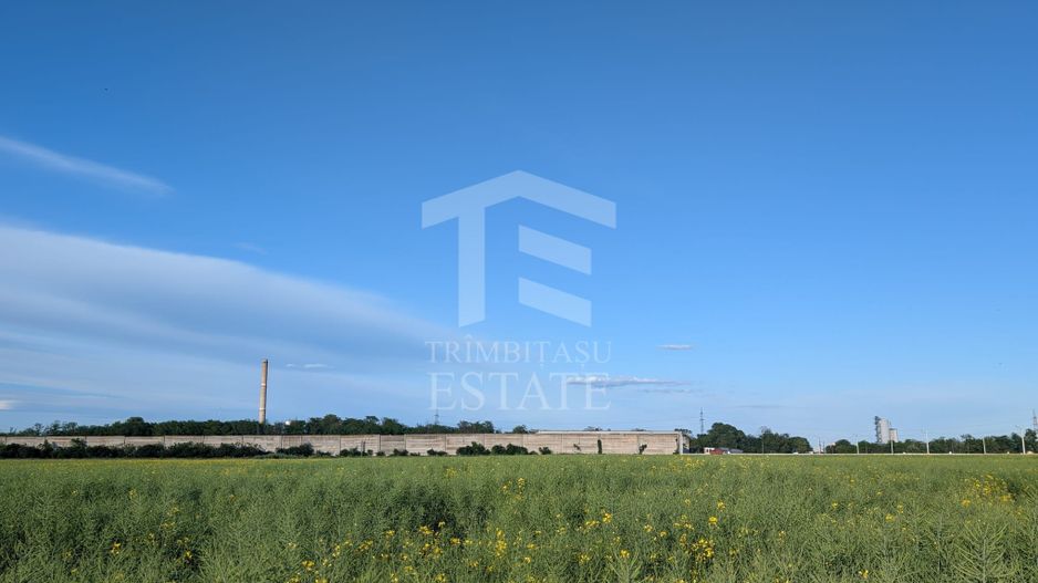 Teren de vanzare Domnești - Str. Narciselor - 20312mp - Poză 3