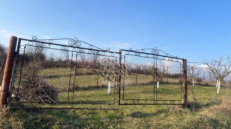 Teren 3100 mp-livada-ideal casa-Mititei - Poză 4