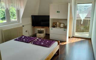 Casa de vânzare 380mp + locuinta separata pt oaspeti | Zona Cloșca - Poză 9