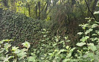 De vanzare teren cu casa de renovat Dej central - Poză 3