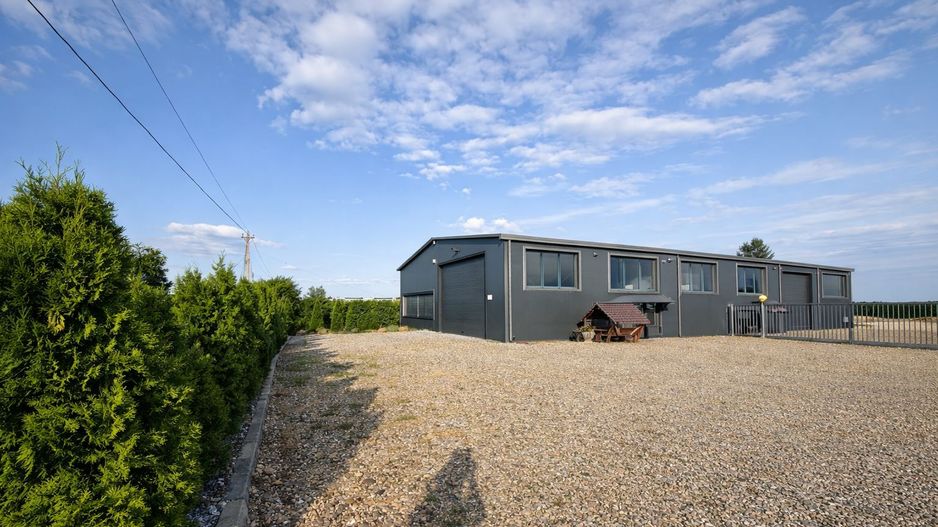 | HALĂ SPAȚIOASĂ | DE ÎNCHIRIAT | FRĂTĂUȚII | JUDEȚUL SUCEAVA | - Poză 8