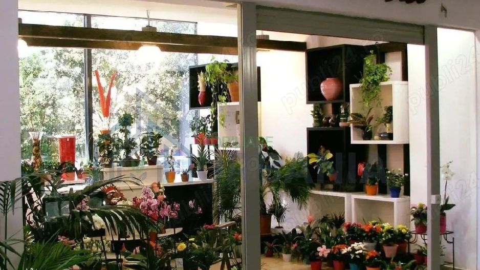 De vanzare afacere la cheie iasi, florarie - Poză 1