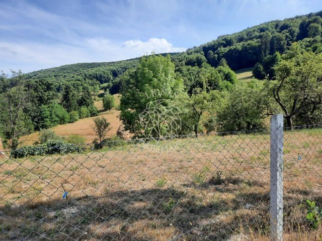 Teren 2.7ha- pretabil cabana/casa-Rebrisoara-EXCLUSIVITATE - Poză 3