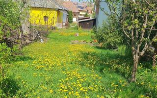 🏡 Închiriez ap. 2 camere 330€ – curte + terasă, zona semicentrală, - Poză 7