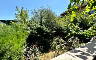 Duplex cu potențial real în Elisabetin – investiția care contează - Poză 9