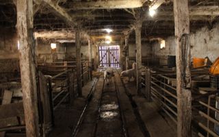 Ferma de Vânzare – Oportunitate Unică! - Poză 8